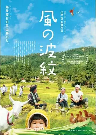 風の波紋のポスター