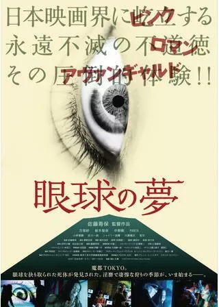 眼球の夢のポスター