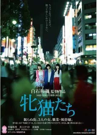 牝猫たちのポスター