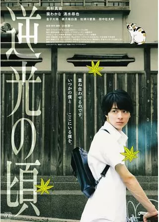 逆光の頃のポスター