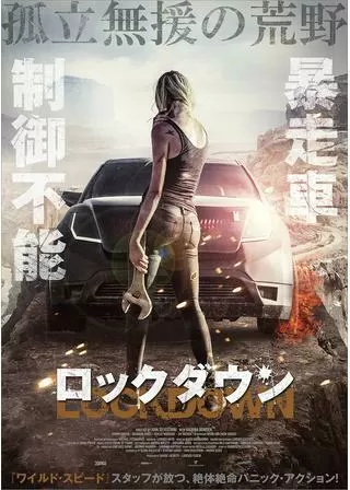 LOCK DOWN ロックダウンのポスター