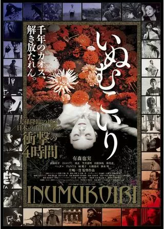 いぬむこいりのポスター