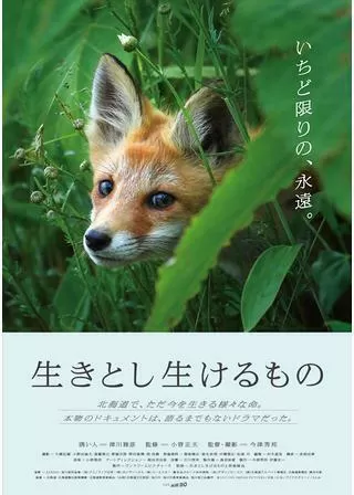 生きとし生けるもののポスター