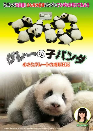 グレーの子パンダ～小さなグレートの成長日記～のポスター