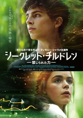 サスペクツ ダイアリー すり替えられた記憶 解説 レビュー 評価 映画ポップコーン