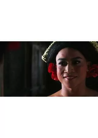 メモリーズ・オブ・マイ・ボディのポスター