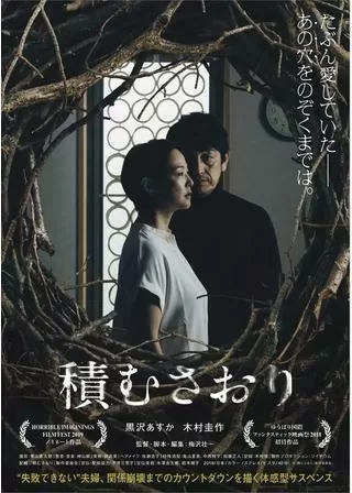 積むさおりのポスター
