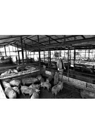 叫び声のポスター