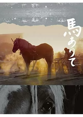 馬ありてのポスター