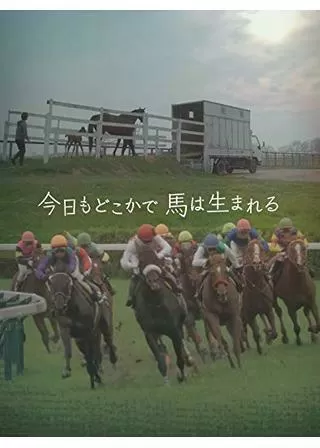 今日もどこかで馬は生まれるのポスター