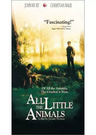 コーンウォールの森へのポスター