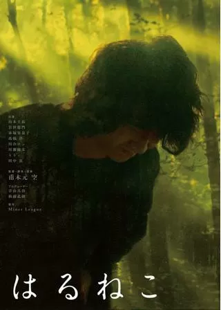 はるねこのポスター