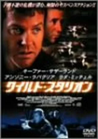 ワイルド・スタリオンのポスター