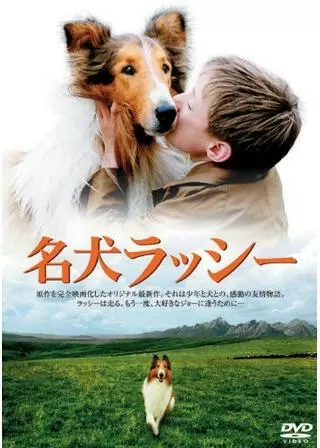 名犬ラッシーのポスター