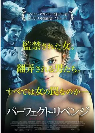 パーフェクト・リベンジのポスター