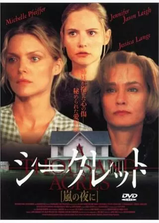 シークレット／嵐の夜にのポスター