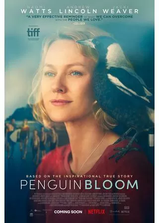 ペンギンが教えてくれたことのポスター