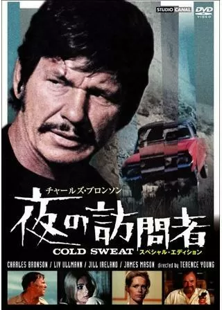 夜の訪問者のポスター