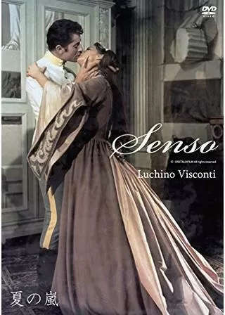 夏の嵐のポスター