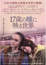 17歳の瞳に映る世界のポスター