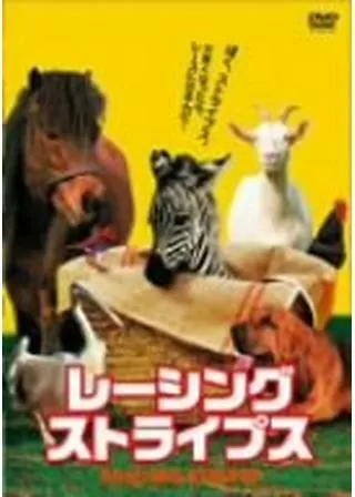 レーシング・ストライプスのポスター