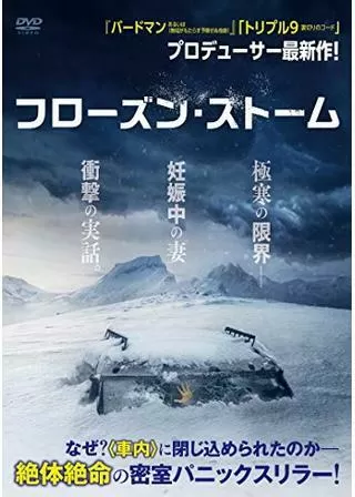 フローズン・ストームのポスター