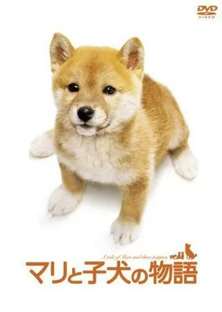 マリと子犬の物語のポスター
