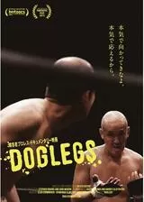 Doglegsのポスター