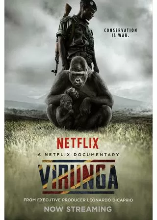 ヴィルンガのポスター