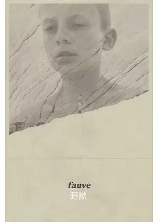 野獣のポスター