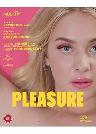 Pleasure(原題)のポスター