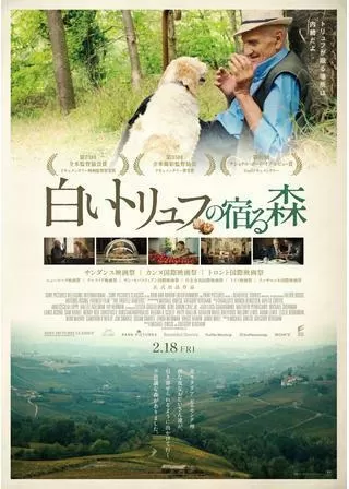 白いトリュフの宿る森のポスター