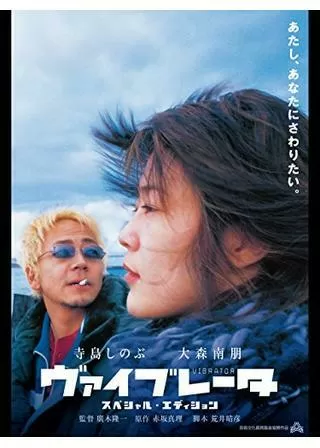 ヴァイブレータのポスター