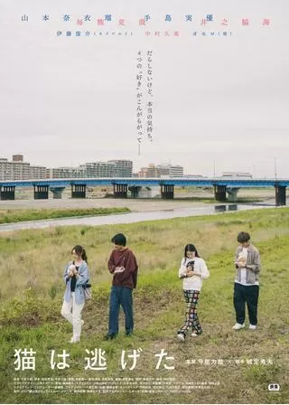 猫は逃げたのポスター
