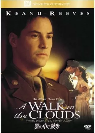 雲の中で散歩のポスター
