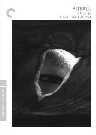 おとし穴のポスター