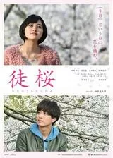 徒桜のポスター