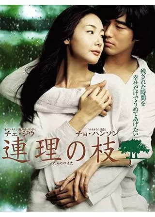 連理の枝のポスター