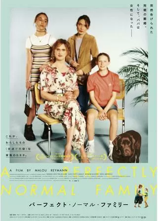 パーフェクト・ノーマル・ファミリーのポスター