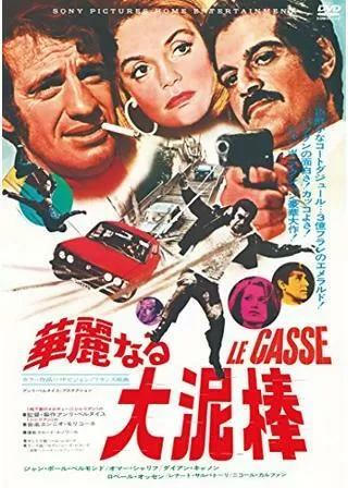 華麗なる大泥棒のポスター