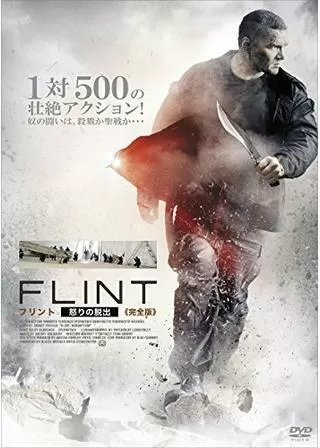 フリント・怒りの脱出のポスター