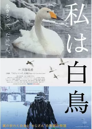 私は白鳥のポスター