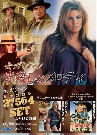 女ガンマン・皆殺しのメロディのポスター