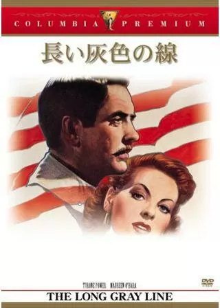 長い灰色の線のポスター