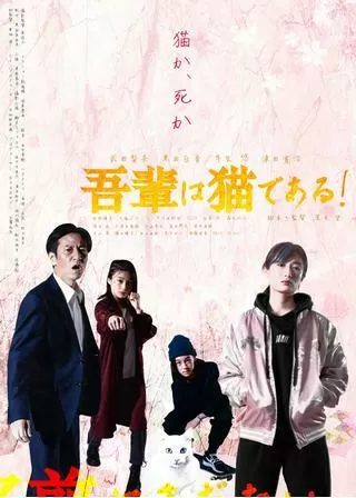 吾輩は猫である！のポスター