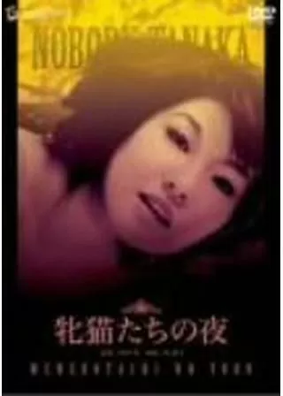 牝猫たちの夜のポスター