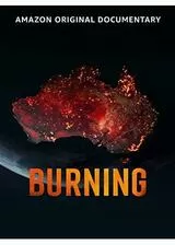 炎上する大地のポスター