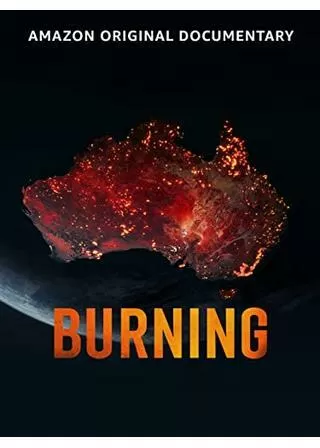 炎上する大地のポスター