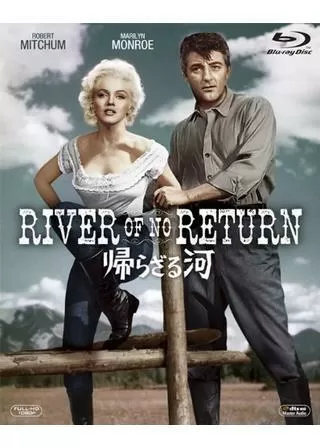 帰らざる河のポスター