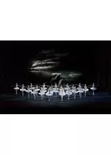 英国ロイヤル・オペラ・ハウス シネマシーズン 2021/22 ロイヤル・バレエ 「白鳥の湖」のポスター